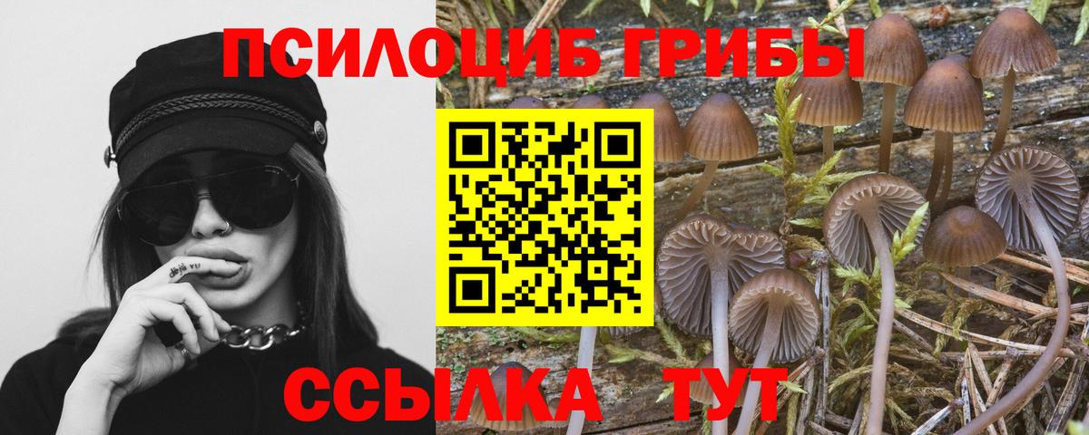 Конаково  Галлюциногенные грибы прущие грибы  Вход с VPN 